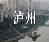 瀘州市企事業(yè)單位“十五五”規(guī)劃編制方向指導(dǎo)建議【國企十五五規(guī)劃-事業(yè)單位十五五規(guī)劃】