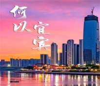宜賓市企事業(yè)單位十五五規(guī)劃編制方向指導(dǎo)建議【國企十五五規(guī)劃-事業(yè)單位十五五規(guī)劃】